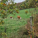 Semesterbostad Wald&wiese *