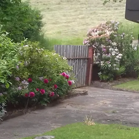 Wald&wiese Wilzenberg-Hussweiler