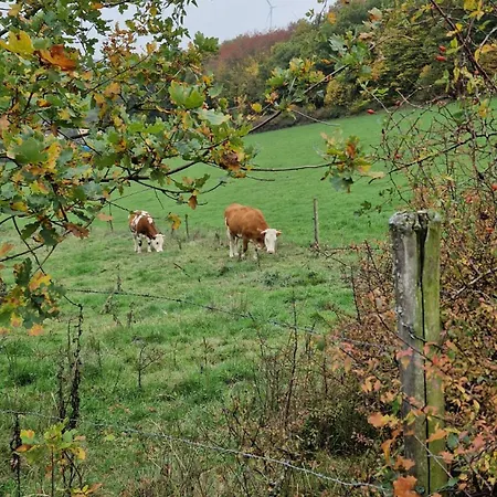 Casa vacanze Wald&wiese *