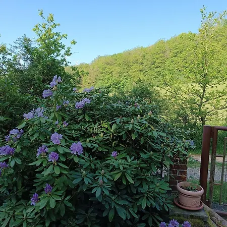 Semesterbostad Wald&wiese *