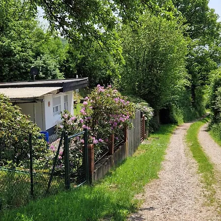 Wald&wiese Wilzenberg-Hussweiler