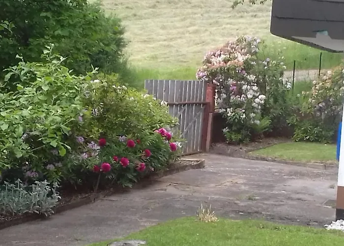 Wald&wiese Wilzenberg-Hussweiler