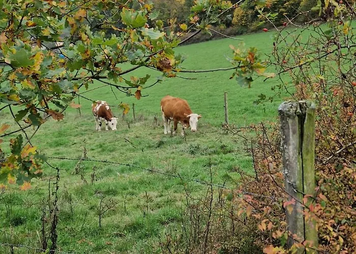 Casa de Férias Wald&wiese *