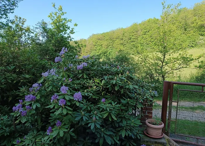 Casa de Férias Wald&wiese *