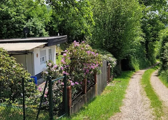 Wald&wiese Wilzenberg-Hussweiler